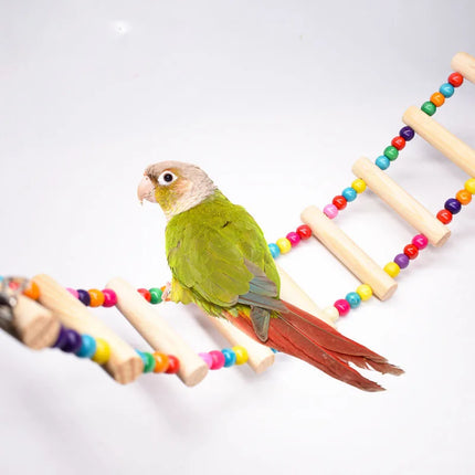 SkyTrail Parrot Climbing Ladder