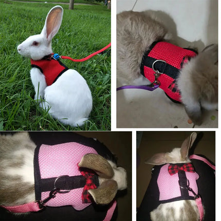 ErgoMesh Small Animal Harness