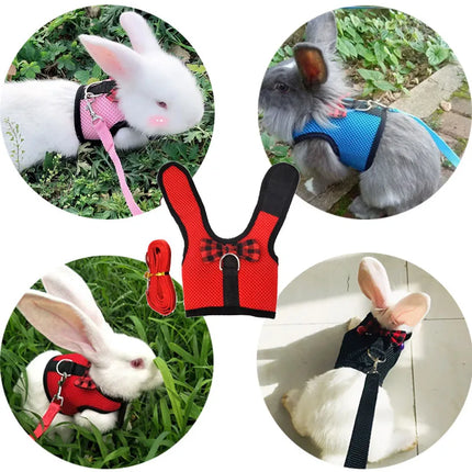 ErgoMesh Small Animal Harness