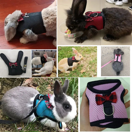 ErgoMesh Small Animal Harness